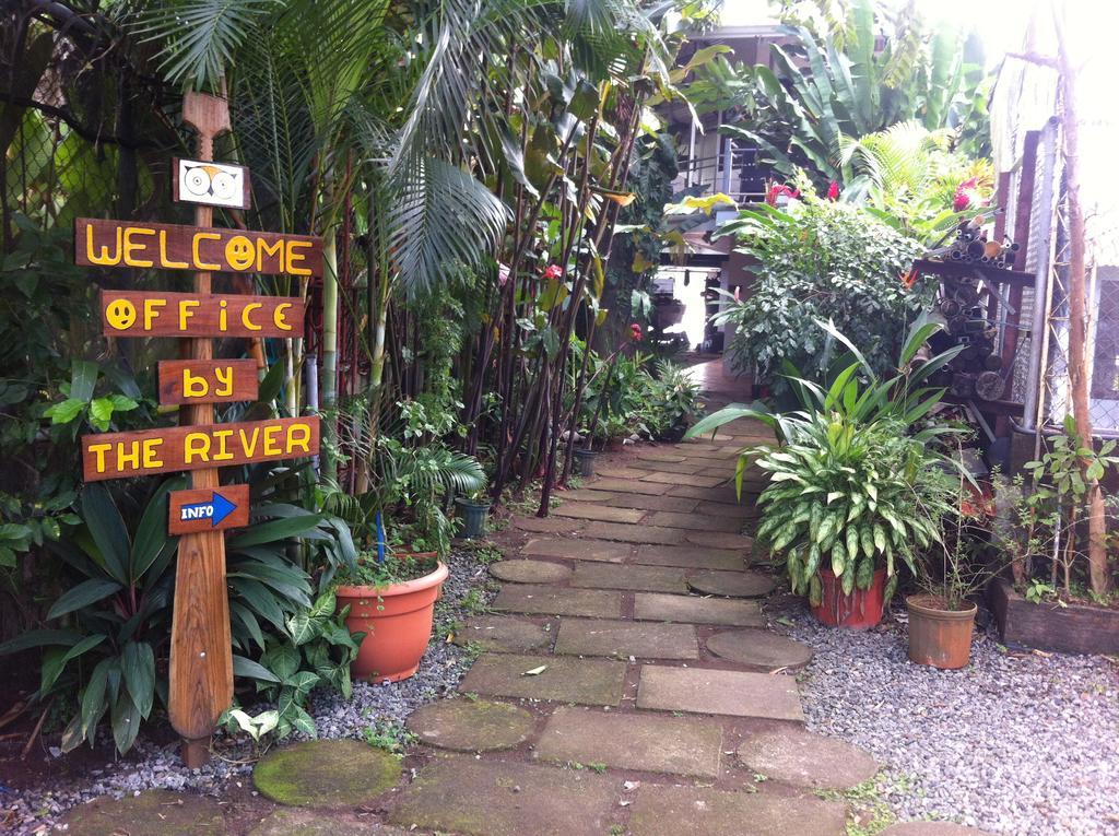 Tortuguero Adventures Guesthouse Bagian luar foto
