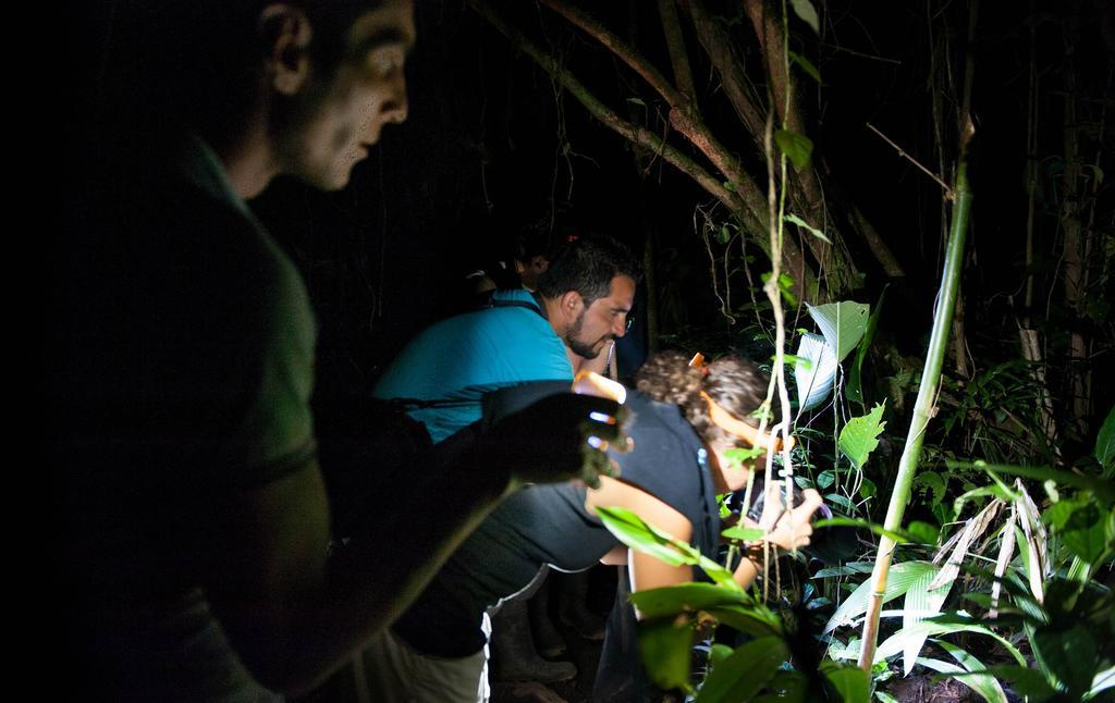 Tortuguero Adventures Guesthouse Bagian luar foto